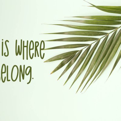 where I belong The Island Sans