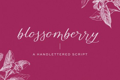Blossomberry Script Font with Swashes