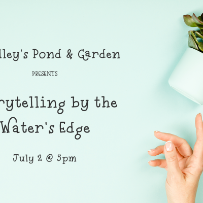 River Road Typewriter Serif