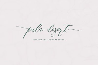 Palm Desert Modern Calligraphy Font