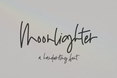 Moonlighter Script